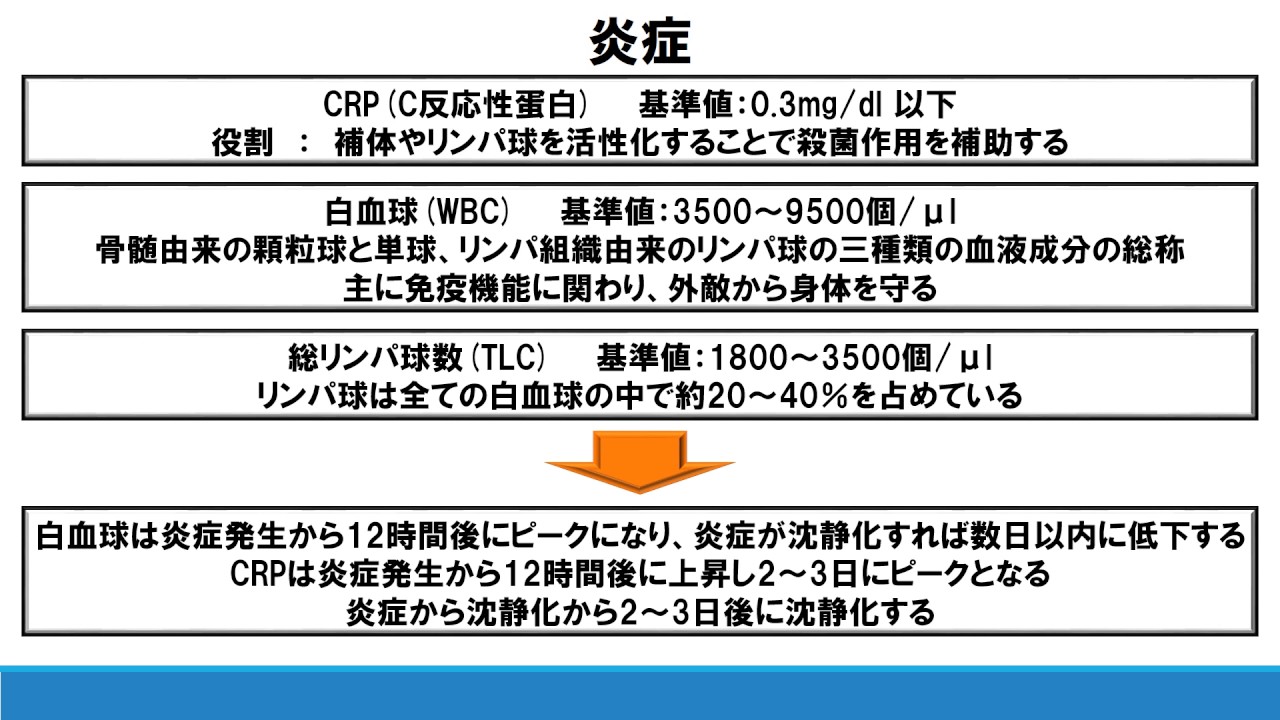 理学療法士が解説する炎症と血液データの関係～栄養学～