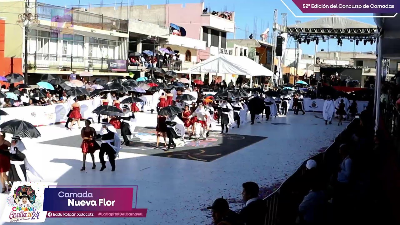 Camada Nueva Flor 🎊🎺🎭🎆