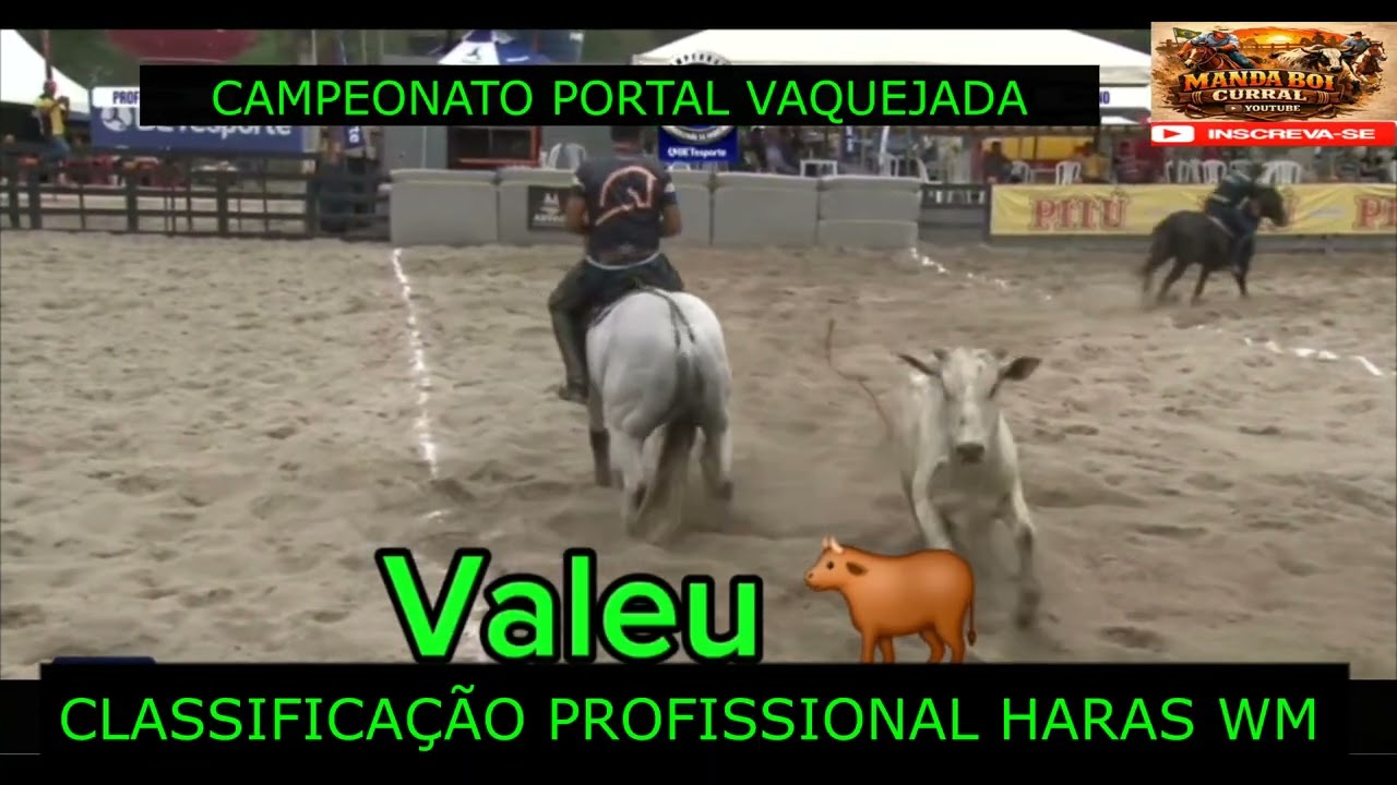 CLASSIFICAÇÃO PROFISSIONAL HARAS WM CAMPEONATO PORTAL VAQUEJADA