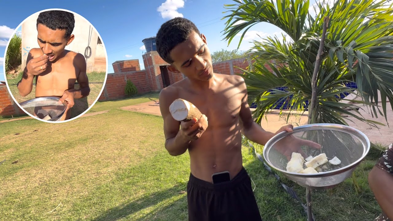 DEI MANDIOCA BRABA PARA O BRUTINHO
