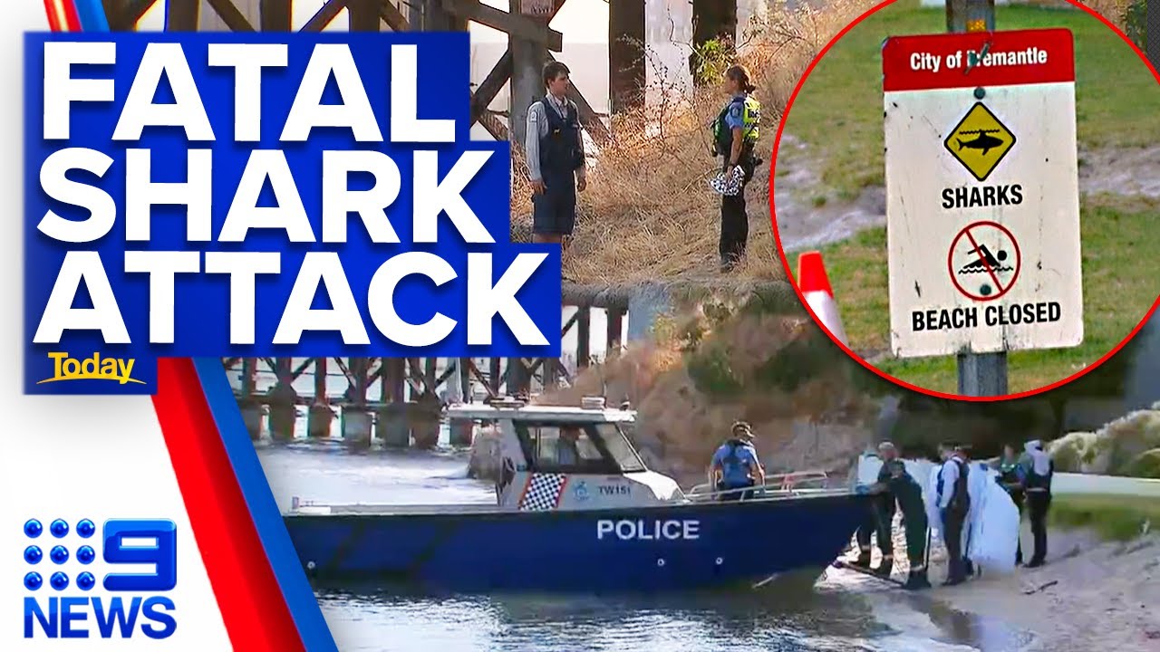 Teen girl dies in fatal shark attack in Perth river | 9 News Australia