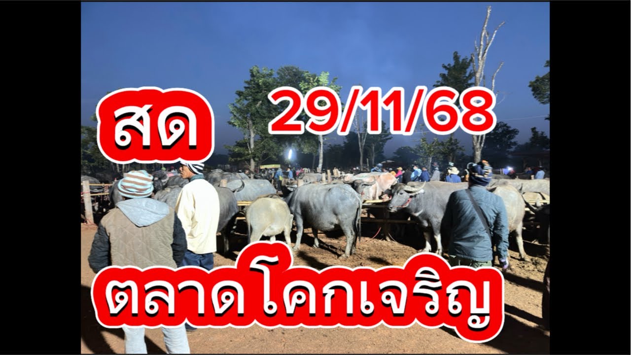 ชมบรรยากาศตลาดนัดโคกระบือโคกเจริญ อ.สว่าง จะ.สกลนคร #คนเลี้ยงควาย