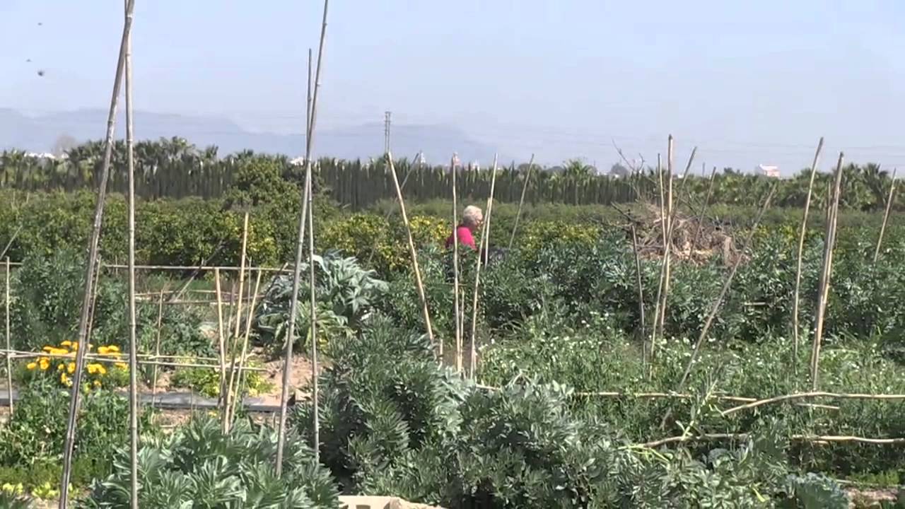 L'horta Viva