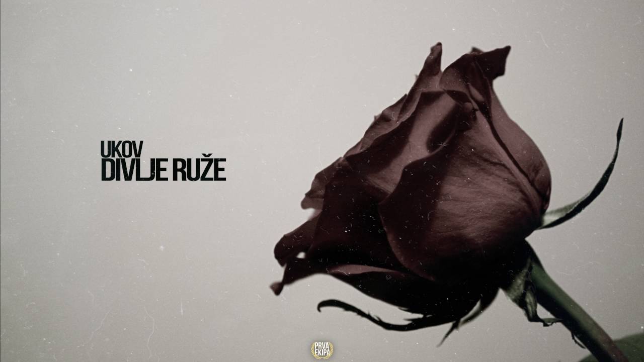Ukov - Divlje ruže