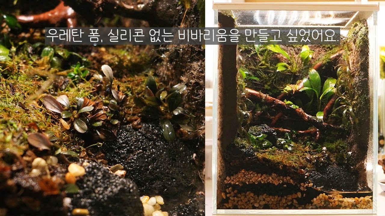 20큐브 자연 그 잡채 소형 비바리움을 만들자.