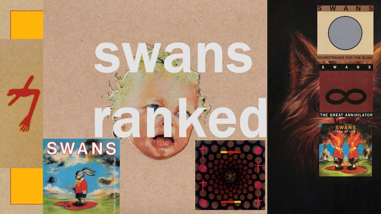 Swans Ranked