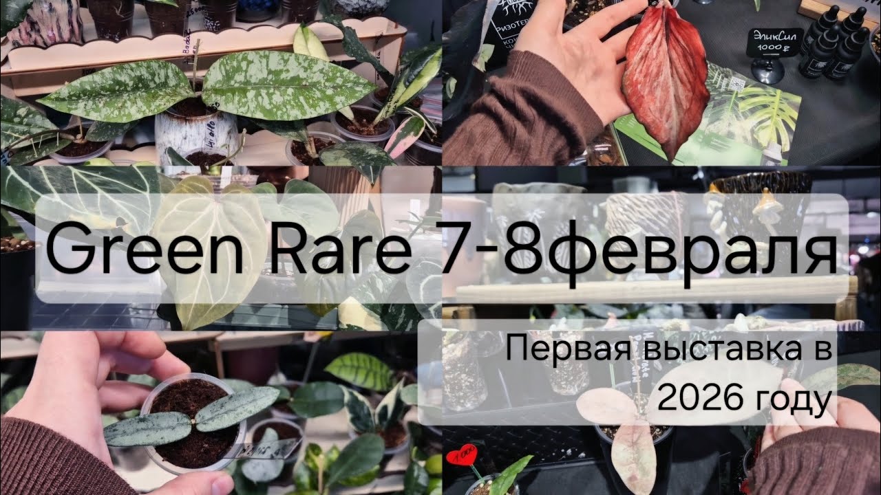 Green Rare 7-8 февраля - впечатления, покупки на первой ярмарке в 2026!