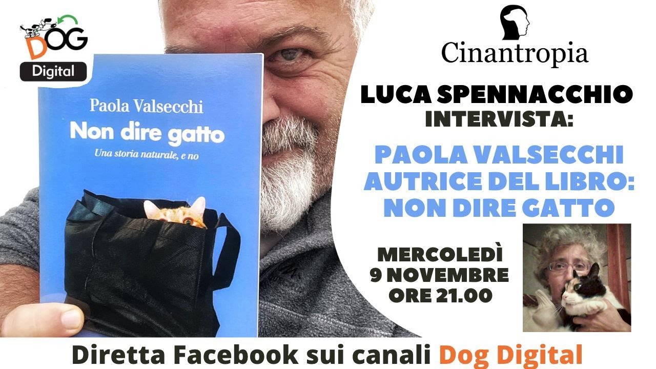 Non dire gatto: Intervista a Paola Valsecchi