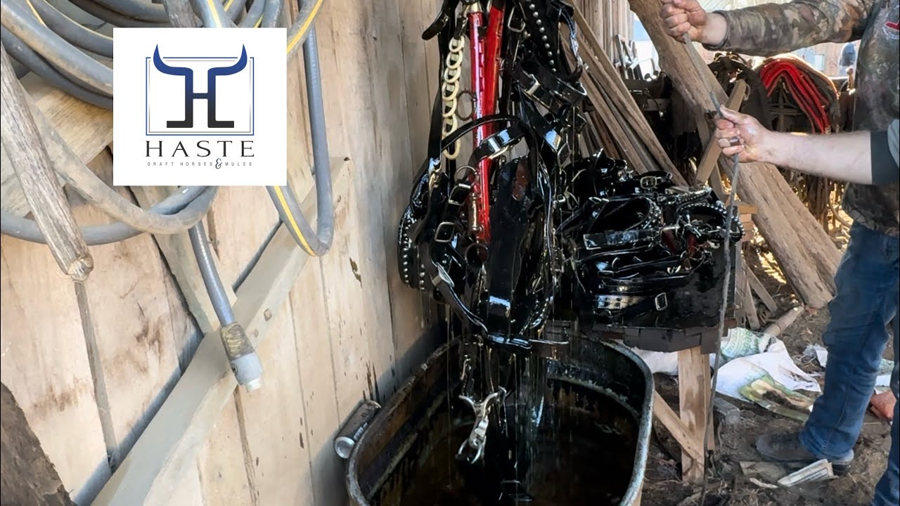 Old Time Leather Care (Draft Horse & Mule Harness )