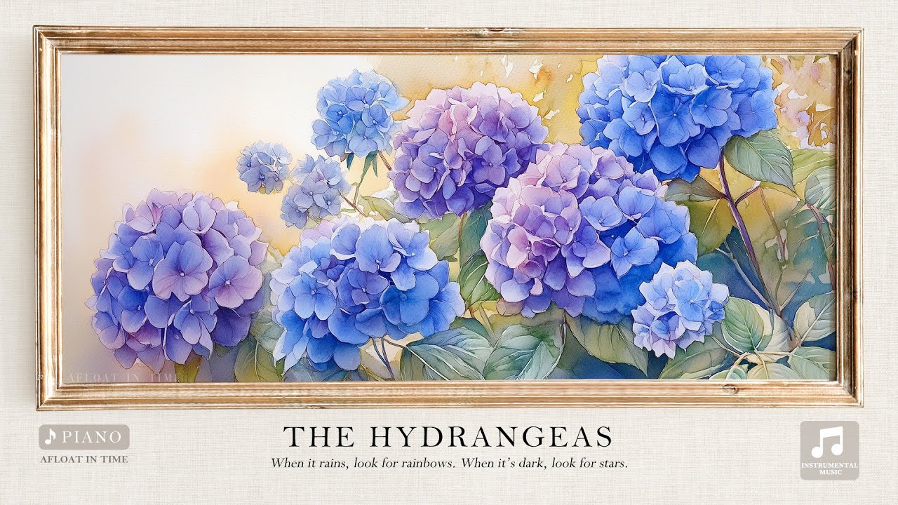 The Hydrangeas | Piano Music Playlist | Work Study Focus Reading Anxiety  & Stress Relief Relaxing