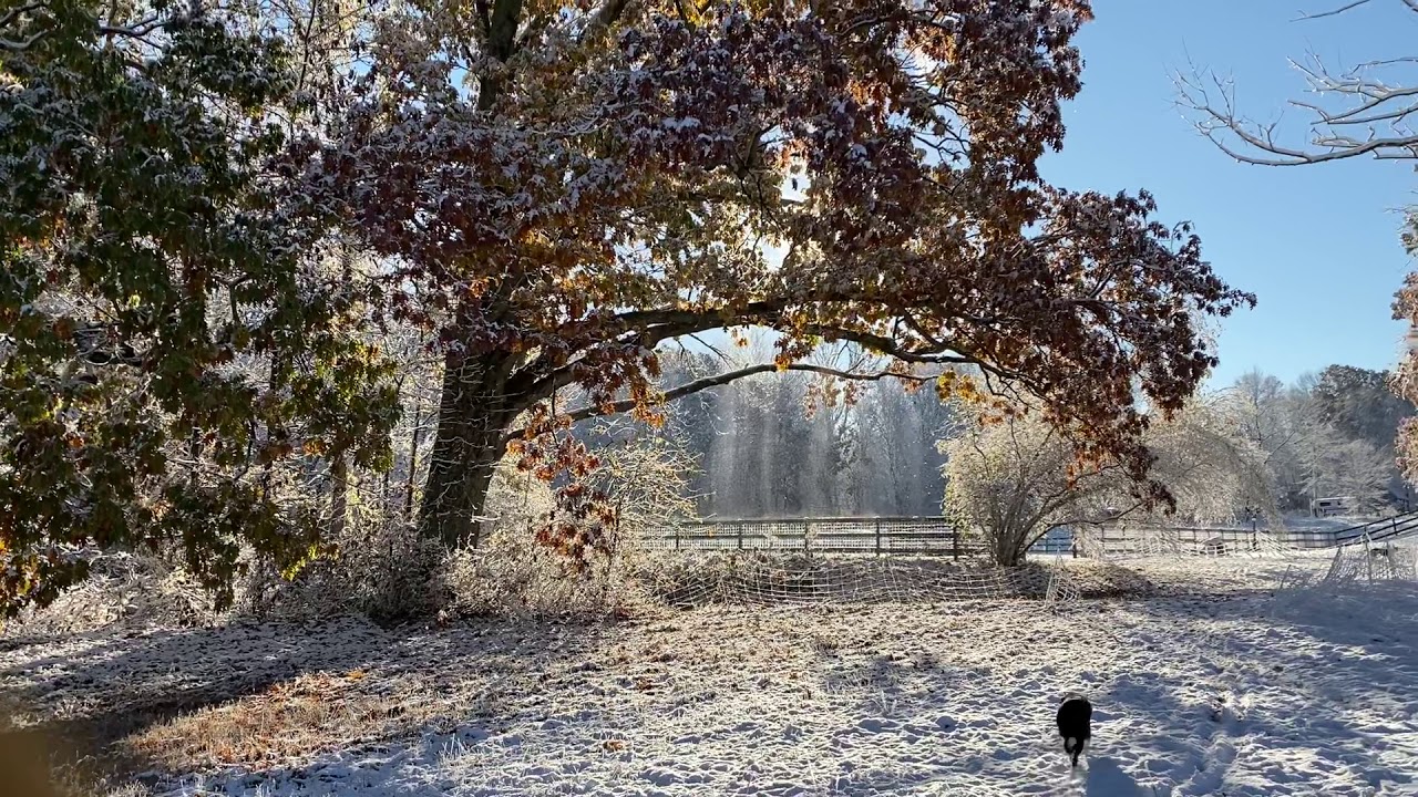 Sparkling snow melt