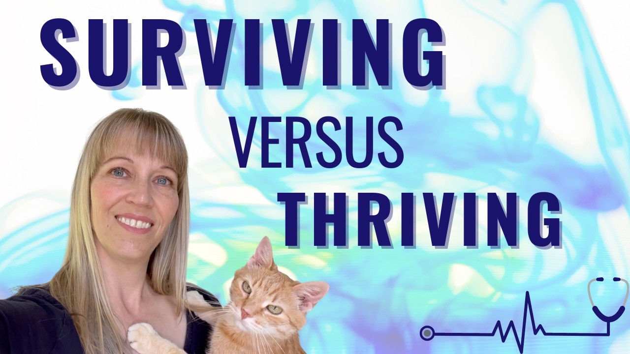 3 ways to Enhance Your Senior Cat's Quality of Life