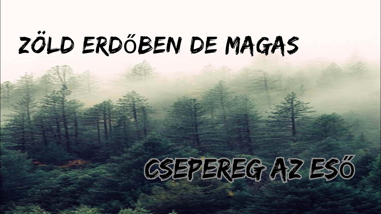 Zöld erdőben de magas - Csepereg az eső / Santa Fe Zenekar