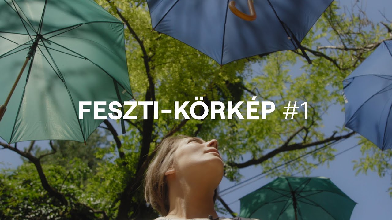 FESZTI-KÖRKÉP #1