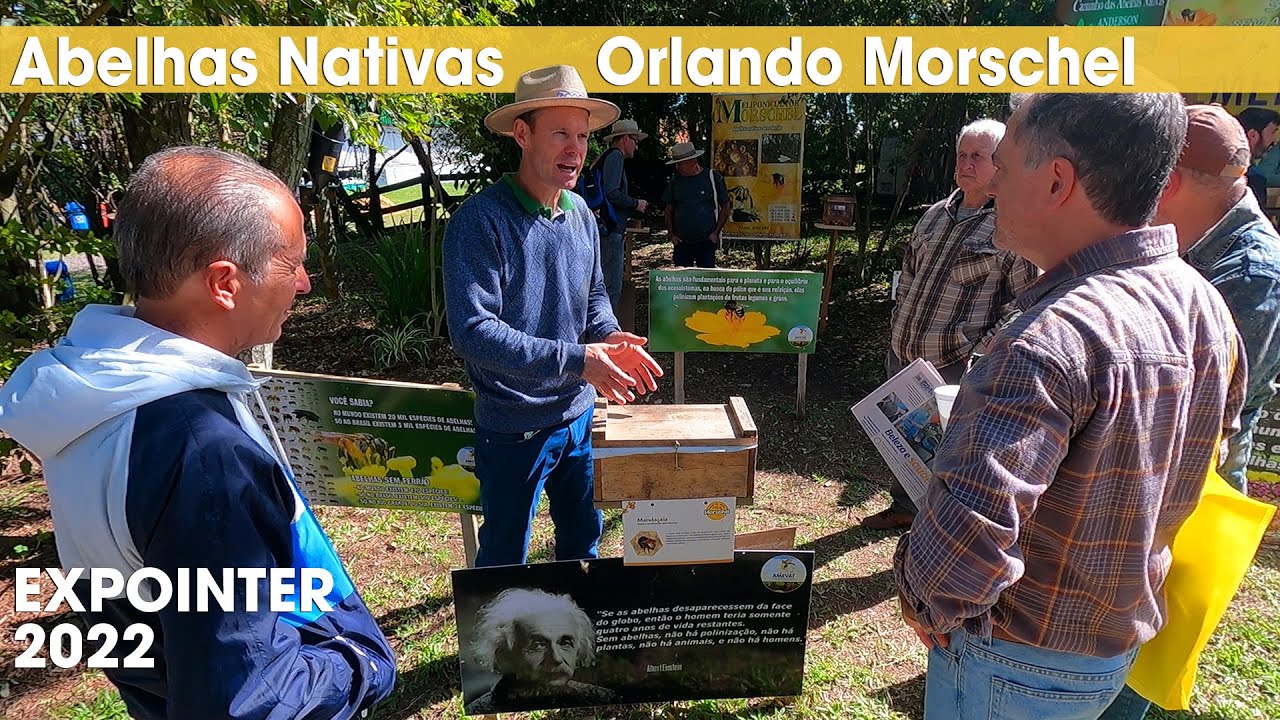 ABELHAS NATIVAS - ORLANDO MORSCHEL - FREQUÊNCIA VIBRACIONAL - CAMINHOS DO MEL