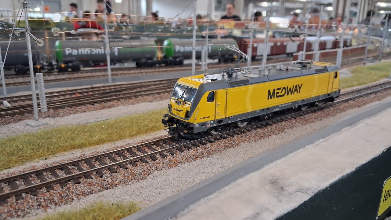 MODEL EXPO VERONA 7-8 marzo 2026                     #train #modellismo #verona 