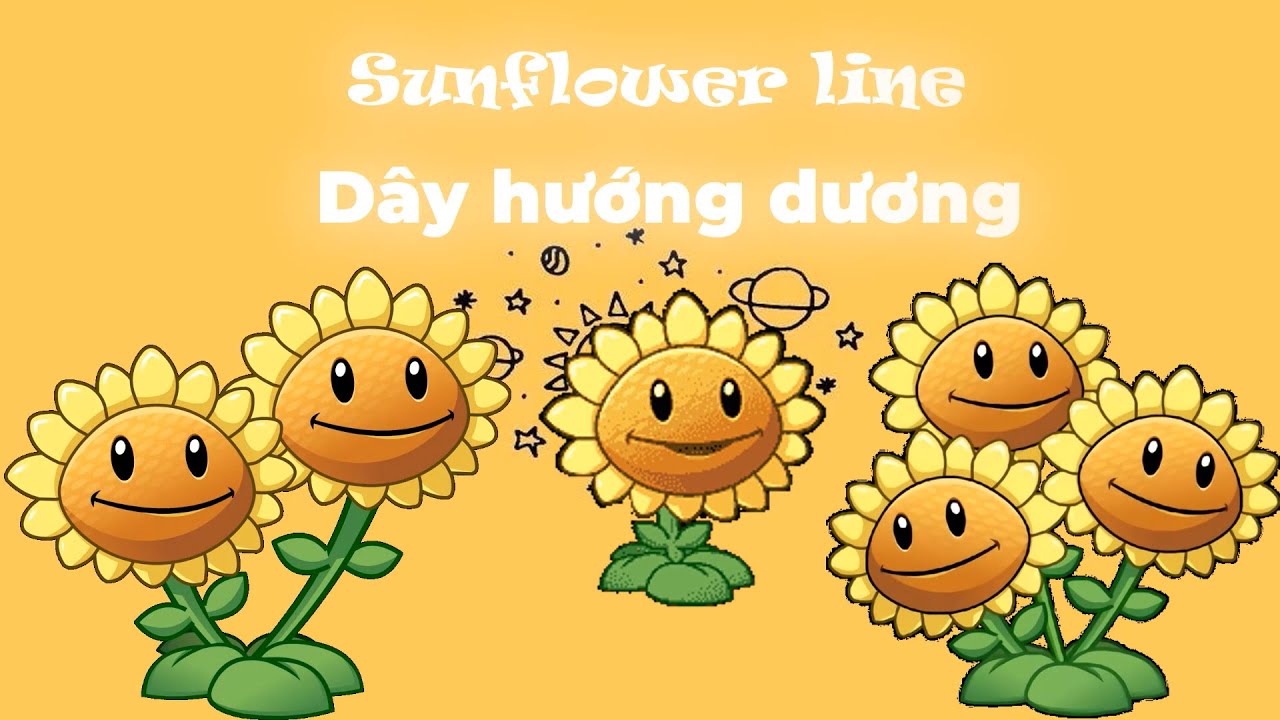 Plants vs Zombie China - Review Sunflower Line trong game Plants vs Zombies China.