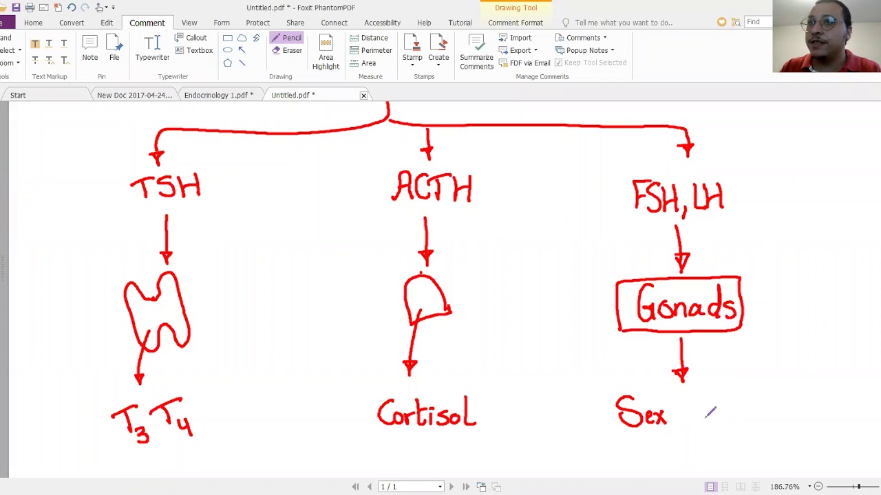 TA7 NEW STEP 1 GROUP TRIAL LECTURE 1 : ENDOCRINE PATHOLOGY 1