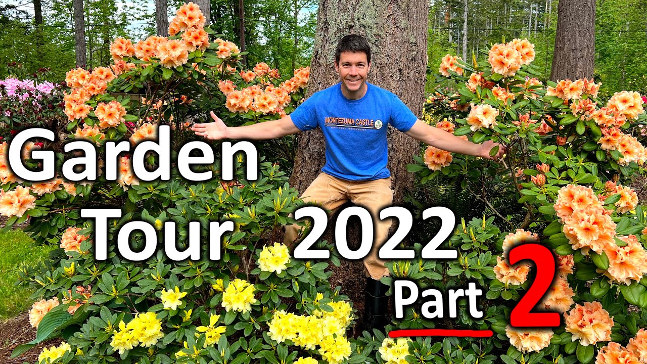 Rhododendron Garden Tour 2022 (Part 2) More Flowers are Blooming at Kincaid's Nursery