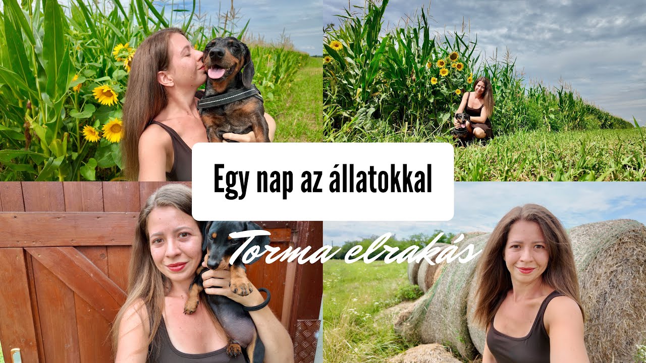 Artúr először látja a tengerimalacokat🐶🐭🐹 SÍRTUNK torma elrakás közben🥹 készülnek az UBIK🥒