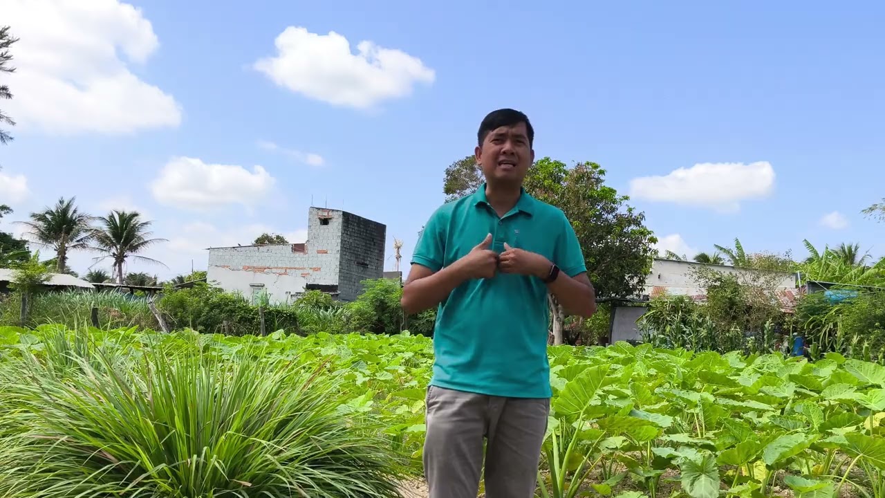 Làm nông nghiệp có dễ dàng không!? Lời khuyên của tôi dành cho người trẻ khởi nghiệp nông nghiệp
