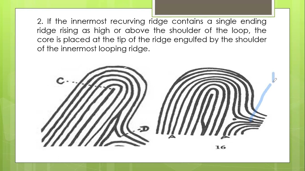 Core of Fingerprint (RPM)