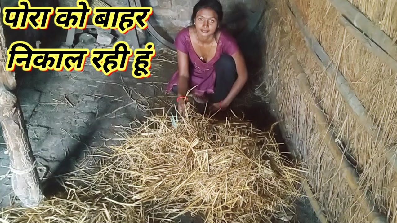 पोरा को बाहर निकाल रही हूंvlogs||vlog||viral vlog||#vlog#trending#viralvlogs 