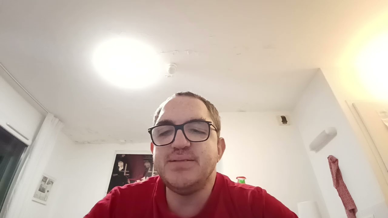 Twenty One Pilots House of gold cover 