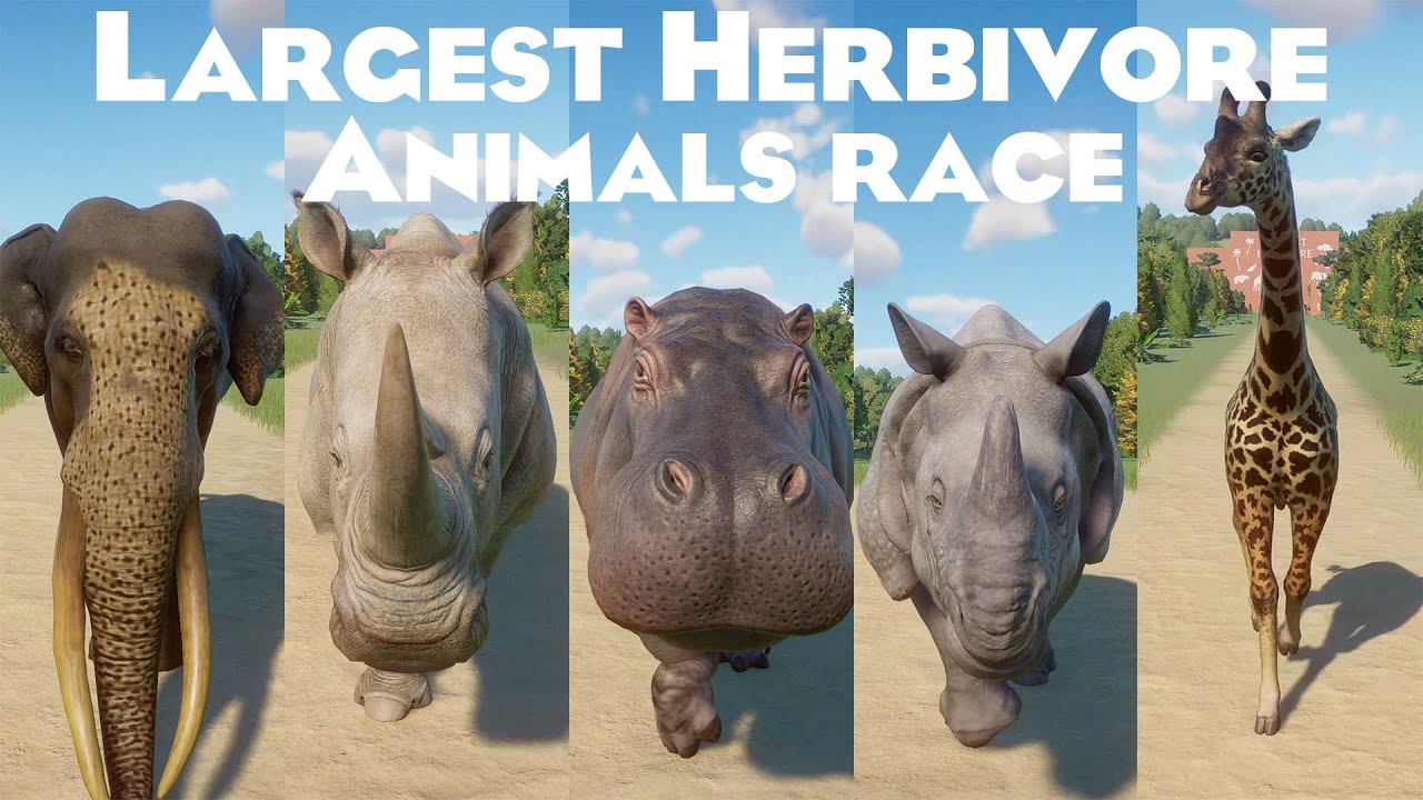 Largest Herbivore on Earth Animals Speed Races in Planet Zoo includes African Elephant, Rhinoceros