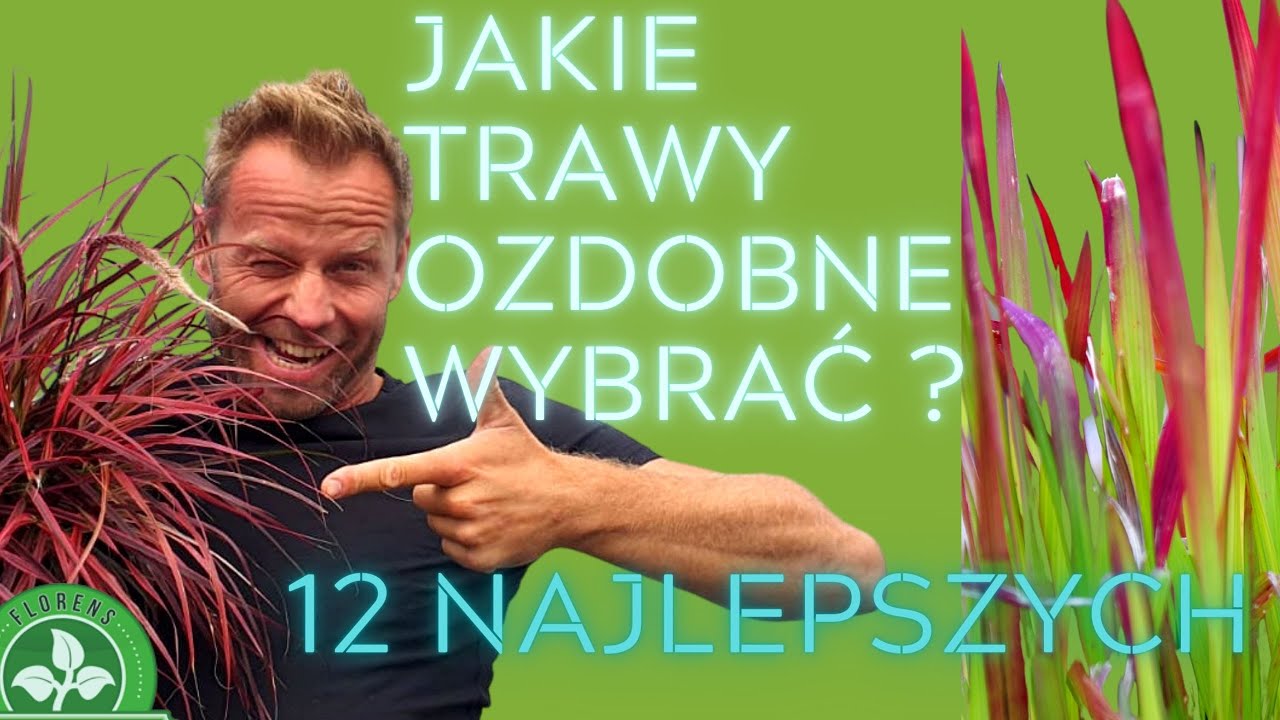 TRAWY OZDOBNE W OGRODZIE🌾sprawdzone gatunki traw.