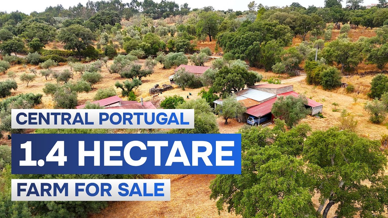 🇵🇹 SOLD | Fantastic 1.4-hectare farm in Central Portugal