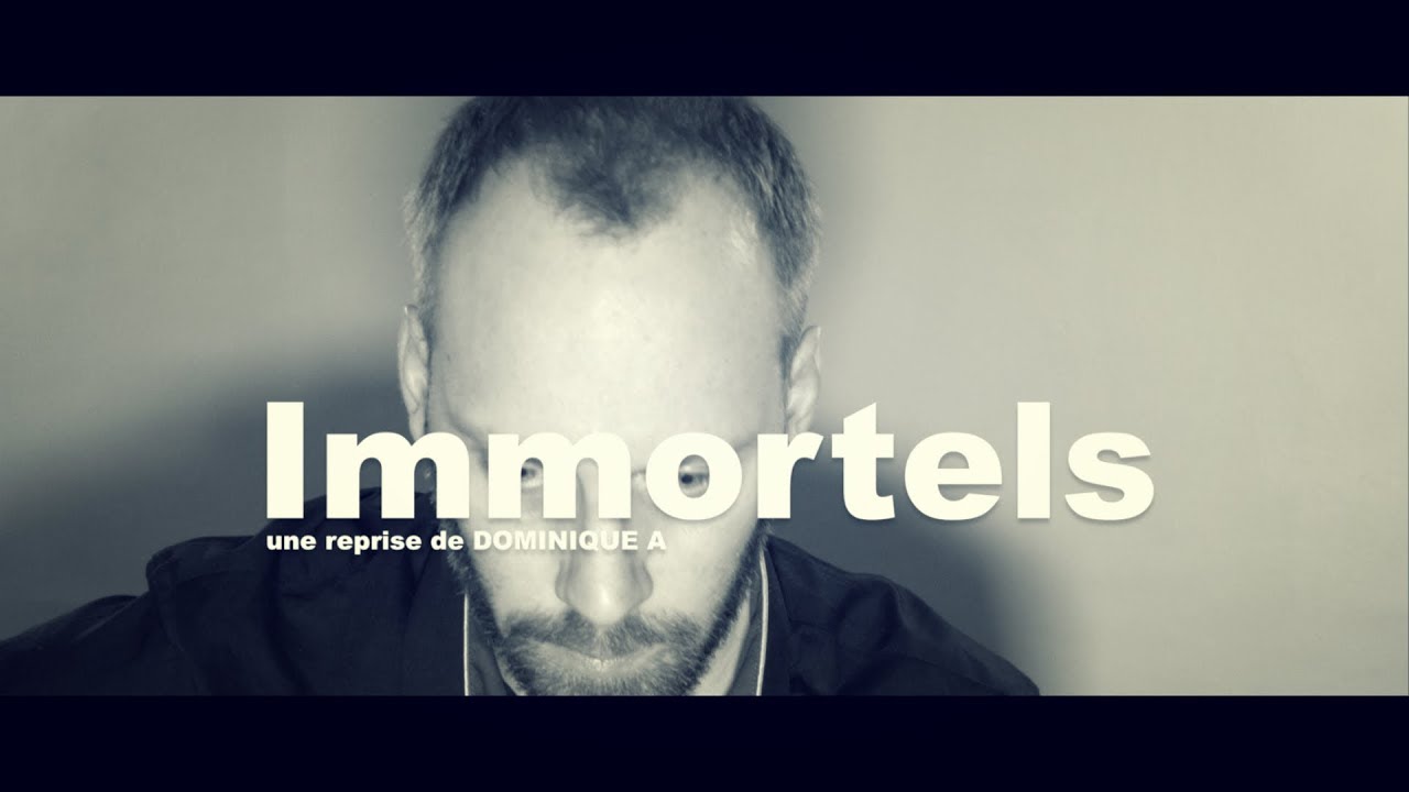 DOMINIQUE A - Immortels [LIVE] [Cover by RIVIERE]