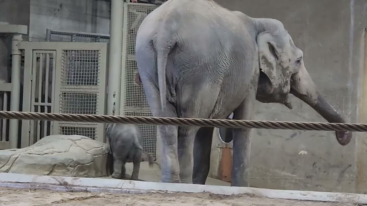 Baby Oliver being cute as mom turns on water twice