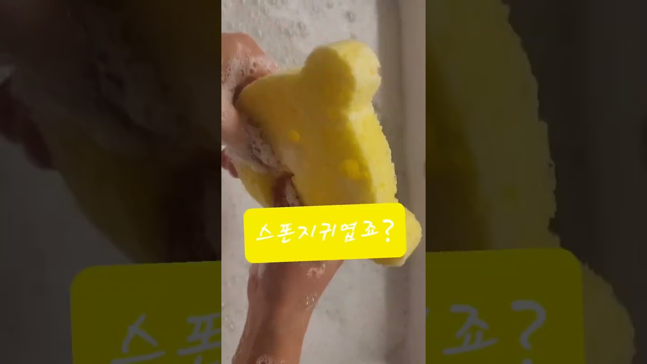 오늘도 비누계!🧼🫧