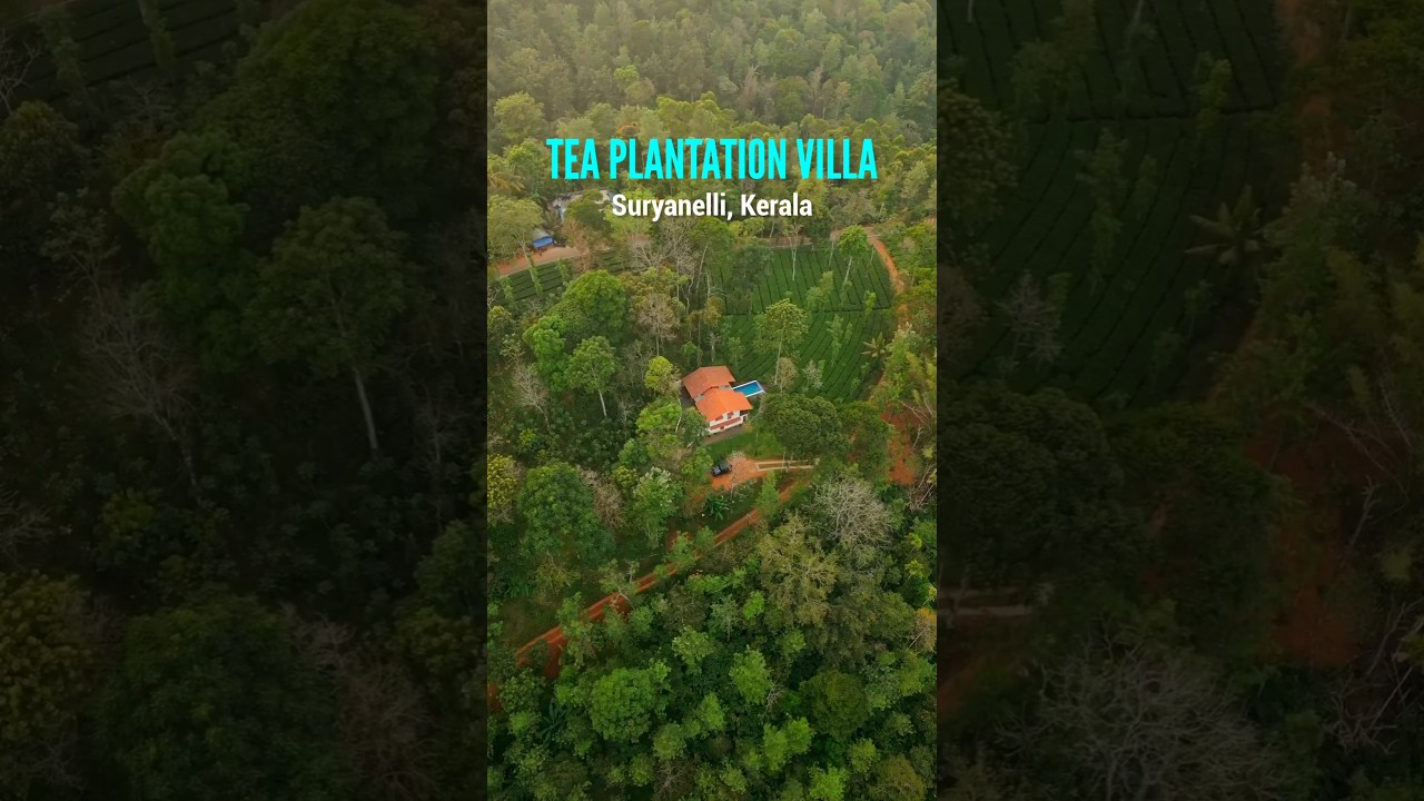Tea Plantations Villa in Munnar | Best Pool Villa In Munnar | Best Resorts in Munnar #culturetravel