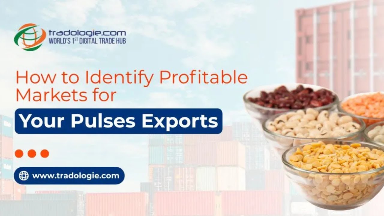 How to identify profitable markets for your pulses exports