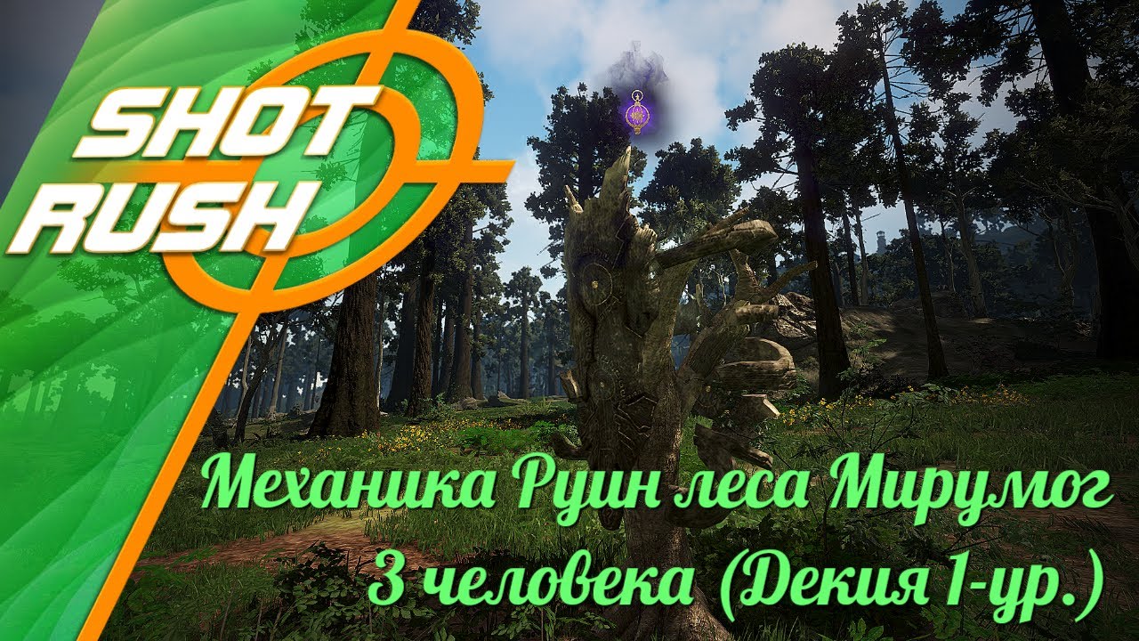 Black Desert БДО: Как фармить Руины леса Мирумог (Группа 3 чел. Фонарь Декии 1-ур.)