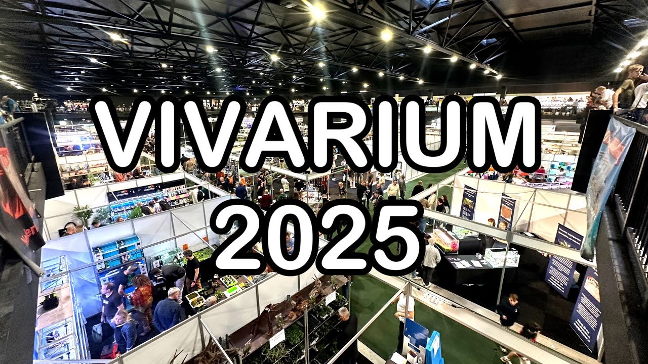 Vivarium 2025: De laatste keer!