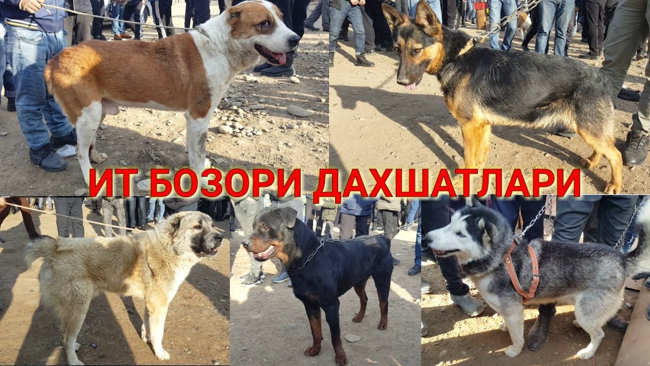 ИТ БОЗОРИ НАМАНГАН РМК