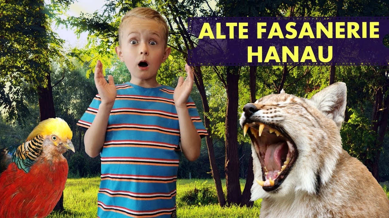 ALTE FASANERIE IN HANAU | Weiße Wölfe, Luchse und vieles mehr