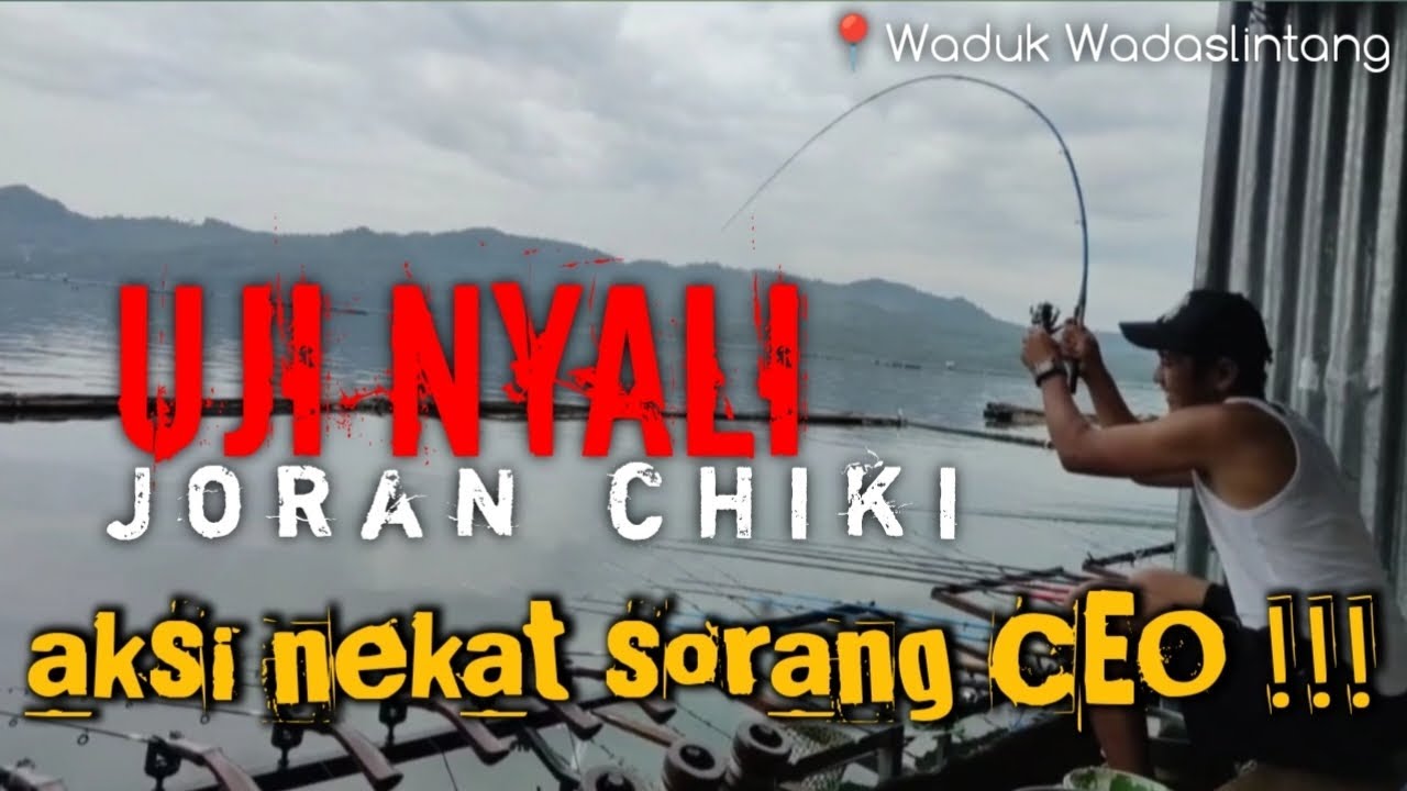 Mancing WWL Lapak Ardi - 09 // Wadaslintang Terbaru