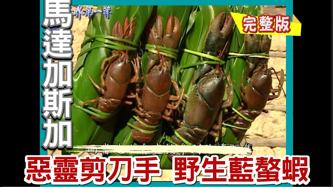 【馬達加斯加】惡靈剪刀手 野生螯蝦/億年石林犀利刀山 /秘密蝙蝠洞 /攻頂尋白狐猴/非洲第一高燈塔 ｜《世界第一等》484集完整版