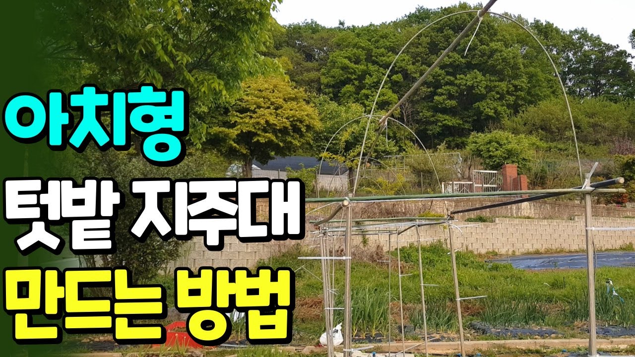 짧은 지주대가 아쉬울 땐 이렇게 해보세요! 덩굴식물을 위한 간이 터널지주대/ 텃밭지지대 간단히 높게 만드는 법/  오이 토마토 공중유인줄 높게 설치하는 방법