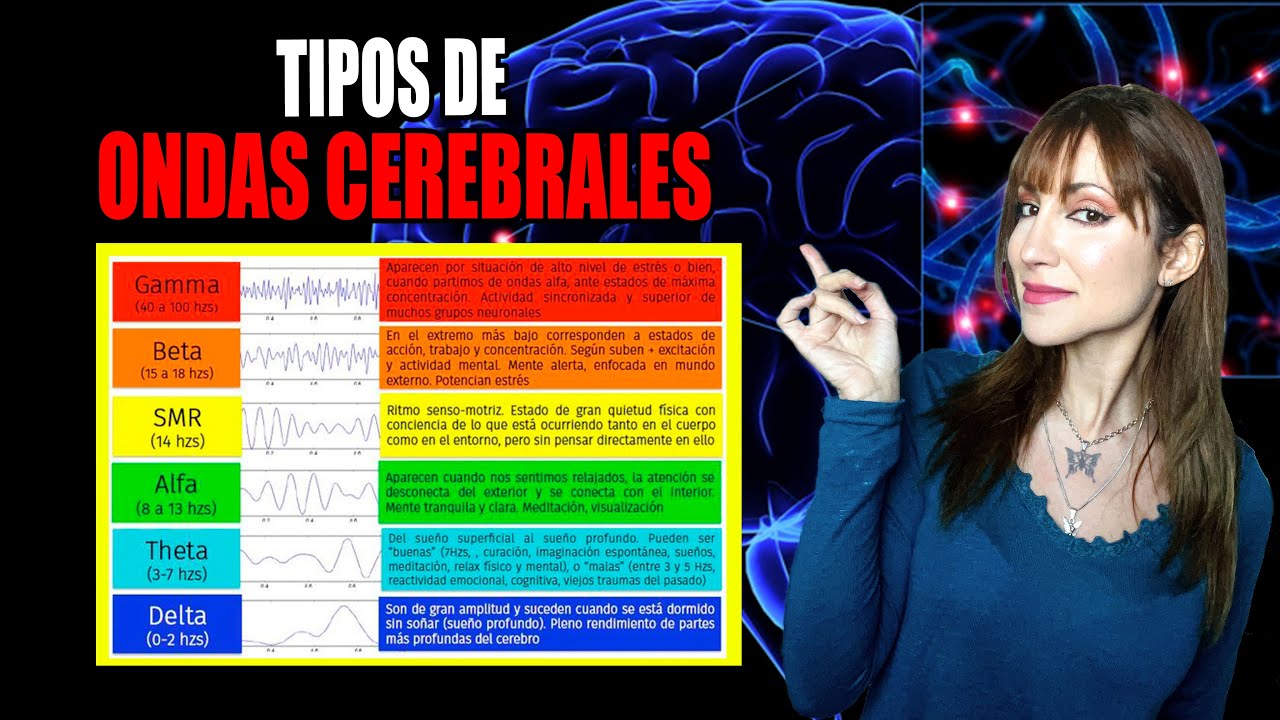 Las 5 ONDAS CEREBRALES y sus FUNCIONES 🔮 | La Chica Cuántica
