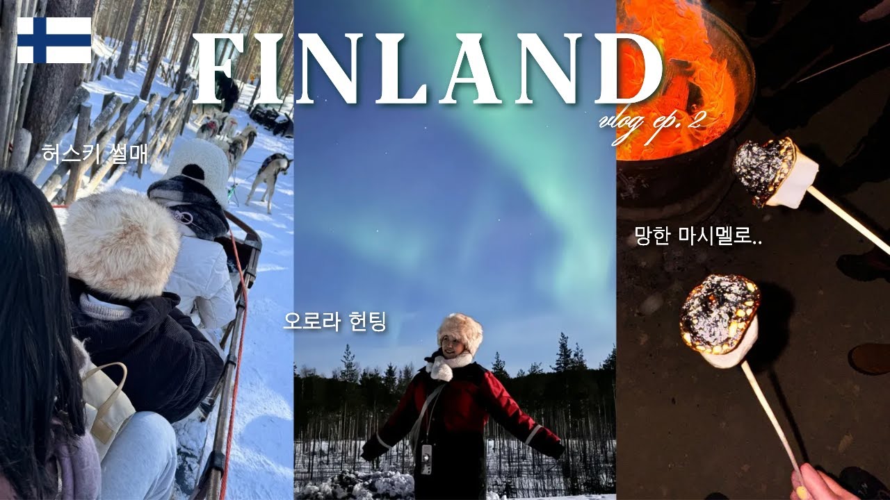 🇫🇮 핀란드 액티비티 왕창 하는 날! | 허스키 썰매부터 🌌오로라 헌팅 후기 | 로바니에미 숙소 추천 | 반드시 사야할 핀란드 기념품까지! | 핀란드 브이로그 2화