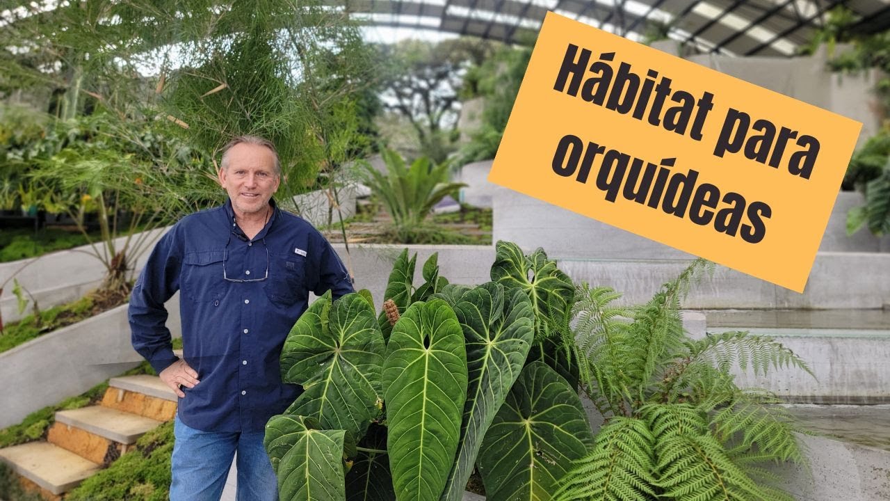 Santuario Alma del Bosque - Hábitat para orquídeas