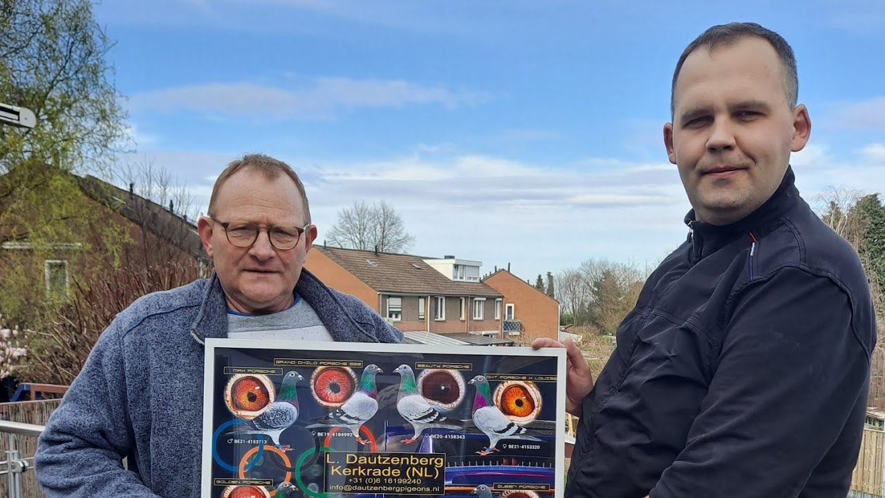 Leon Dautzenberg z Kerkrade w Holandii. Prezentacja hodowli.