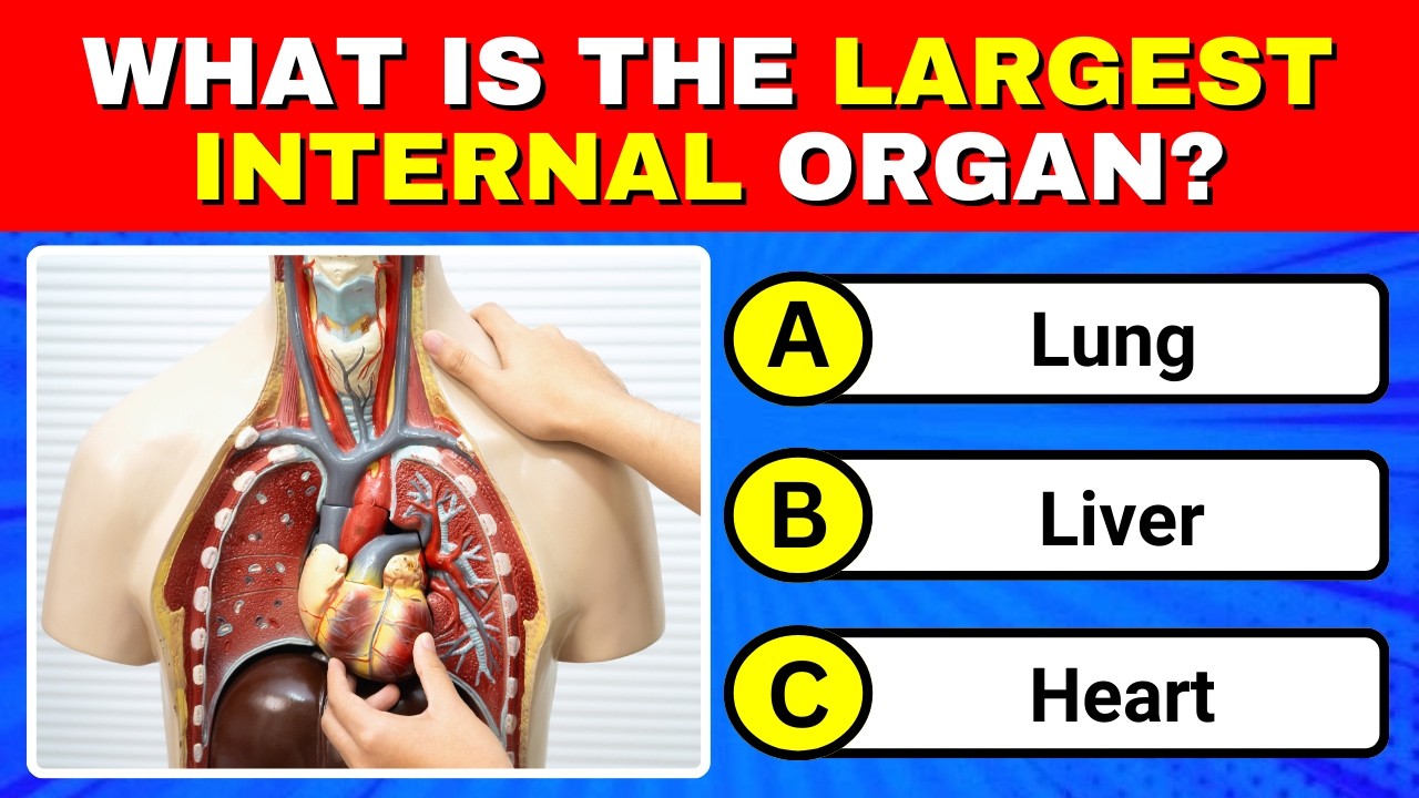 50 Random Trivia Questions (Part 3) 🧠 | Test Your General Knowledge!
