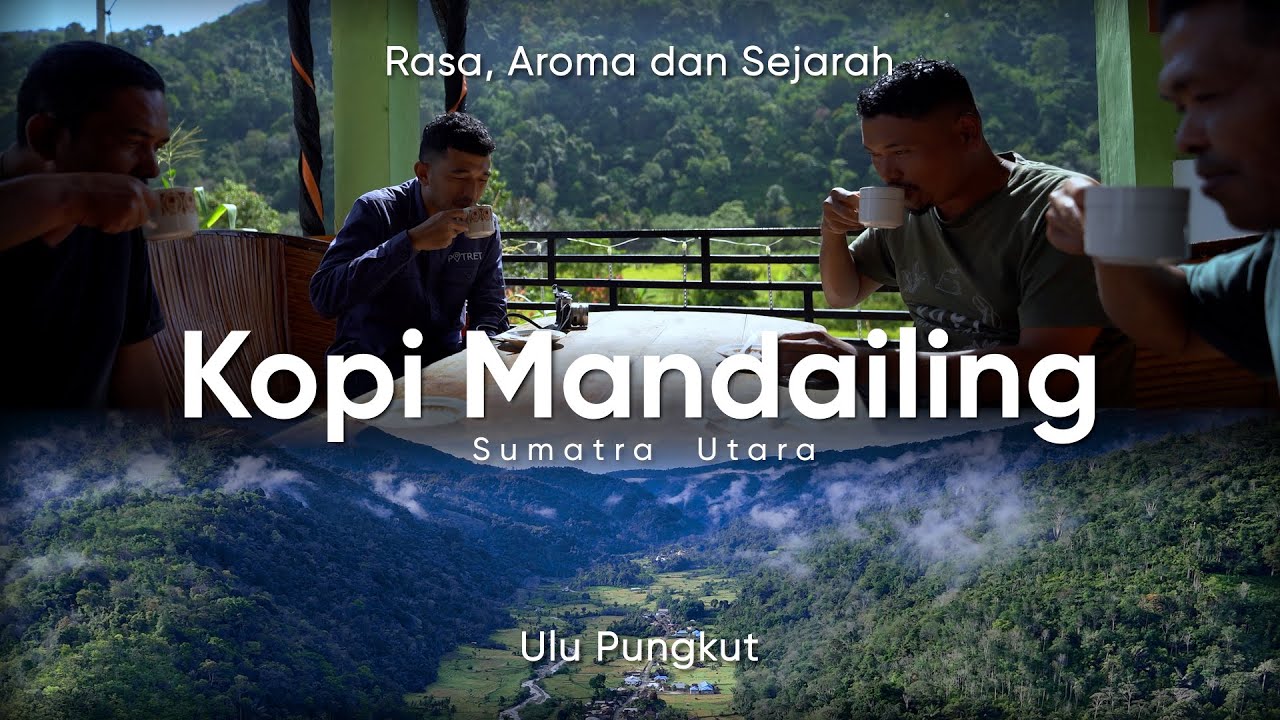 Kopi Mandheling Asli Mandailing: Cita Rasa Sumatera yang Mendunia | POTRET