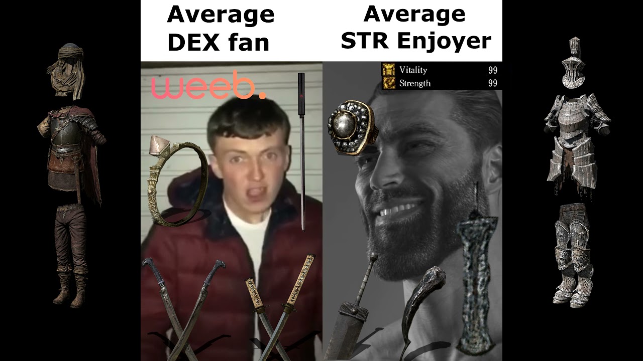 Average DEX Fan VS Average STR Enjoyer